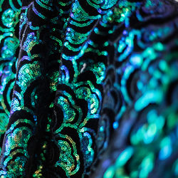 Full frame shot of tree trunk