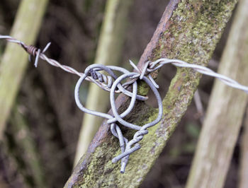 Close-up of chainlink fence