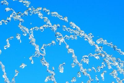 Low angle view of white flowers against clear blue sky