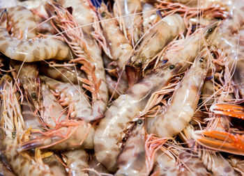 Full frame shot of fresh prawns in fish market