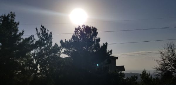 Low angle view of silhouette trees and plants against sky