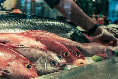 Close-up of fish for sale in market