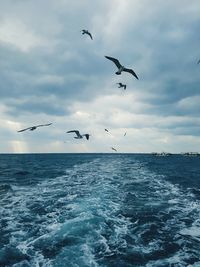 Birds flying over sea against sky