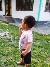 Cute boy standing on grass