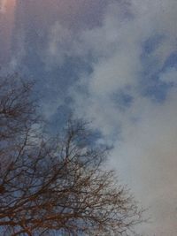 Low angle view of bare tree against sky