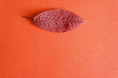 Close-up of heart shape on paper