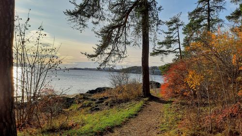 Scenic view of lake against sky during autumn