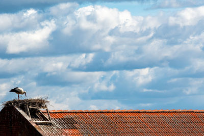 Storch on roof of building against cloudy sky