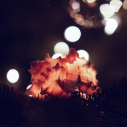 Close-up of illuminated candles