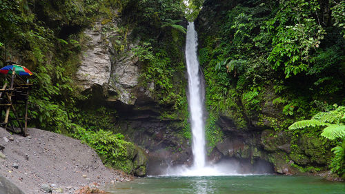 Tropical tuasan falls in mountain jungle. waterfall in the tropical forest.