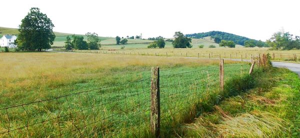 Scenic view of grassy field against sky