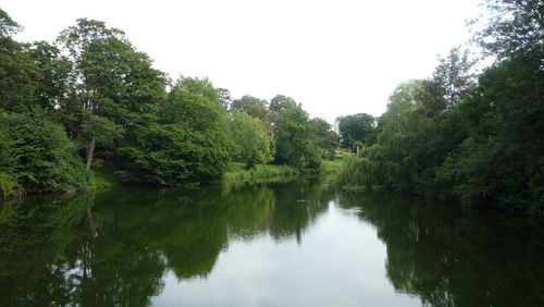 Scenic view of lake in forest against clear sky