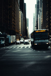 Cars on road by buildings in city