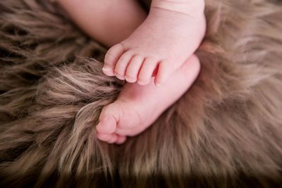 Low section of baby relaxing on fake fur