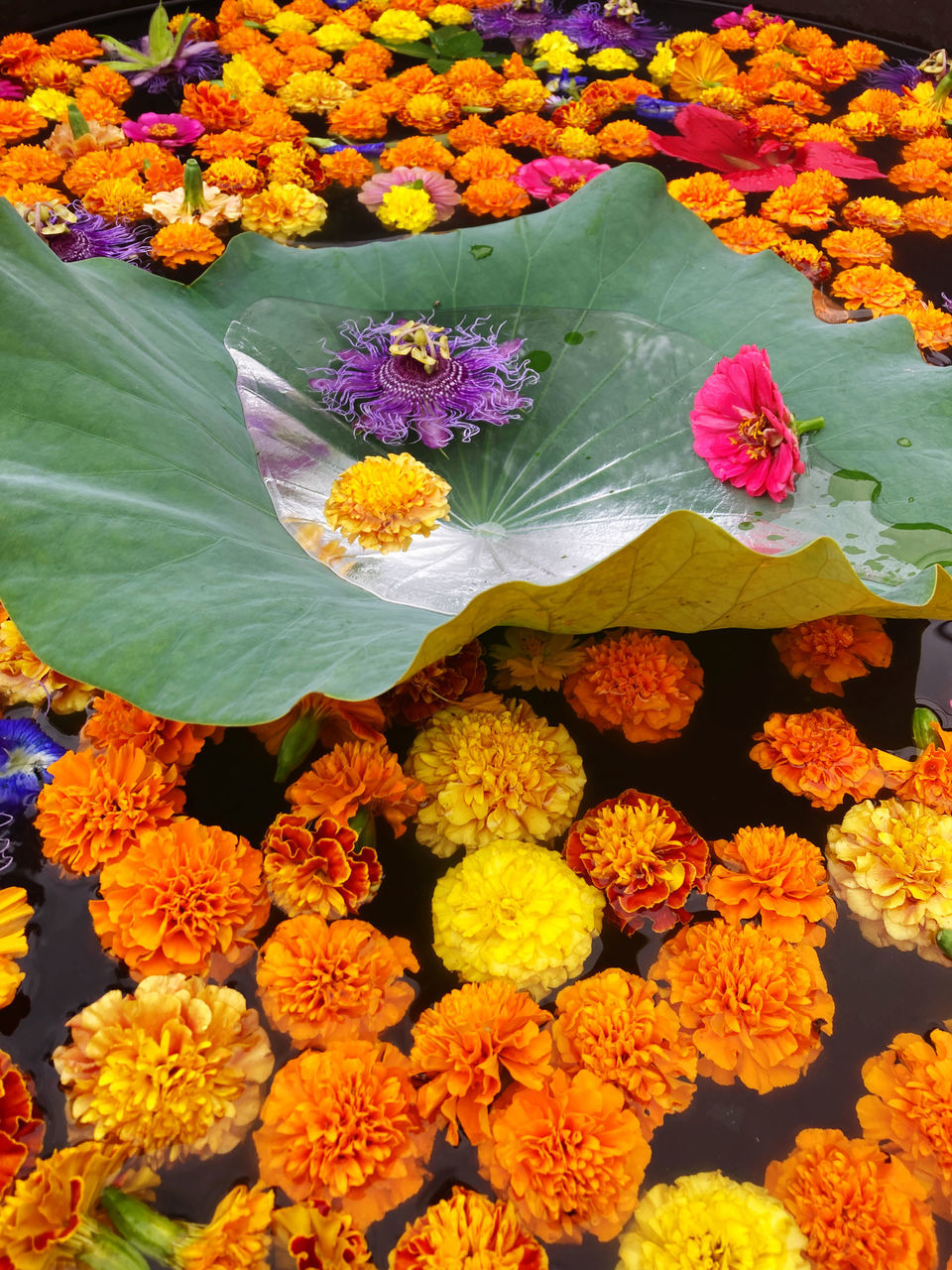 HIGH ANGLE VIEW OF MULTI COLORED FLOWER BOUQUET