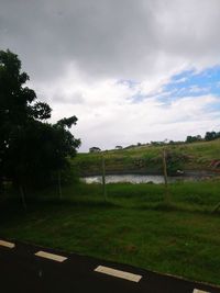 Trees on field against sky