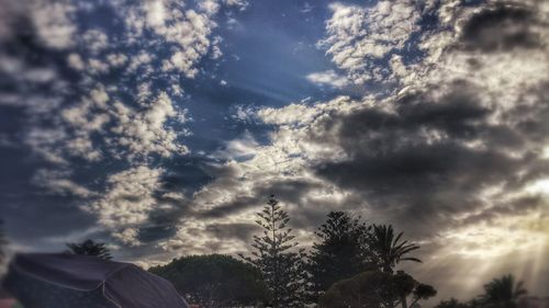 Low angle view of trees against cloudy sky