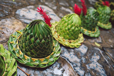 High angle view of hats made of plants