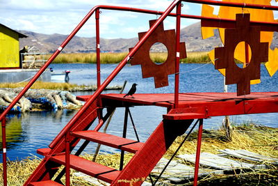 Bird perching on play equipment