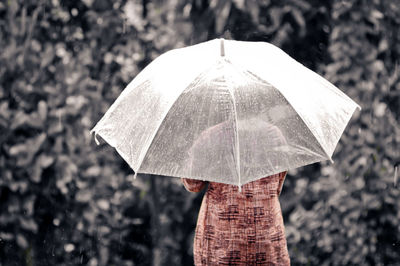 Close-up of person holding umbrella