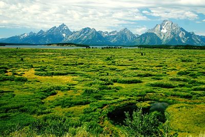 Scenic view of field and mountains against sky
