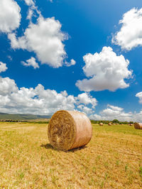 Round bales harvesting in golden field landscape, south sardinia