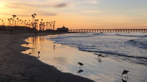 Scenic view of beach against sky during sunset