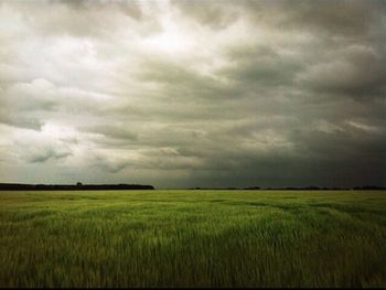 Scenic view of field against cloudy sky