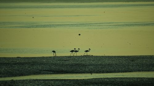 Group of people on land