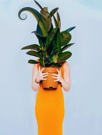 Woman holding potted plant while standing over blue background