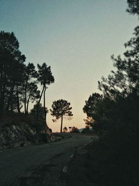 Silhouette trees by road against clear sky