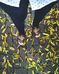 Low section of people standing on autumn leaves