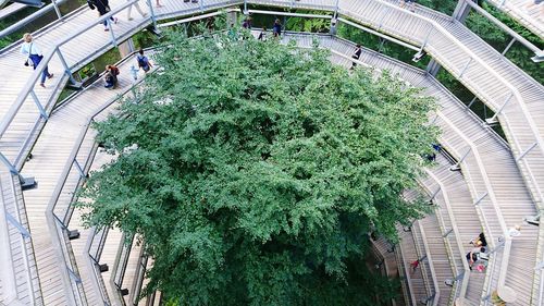 High angle view of people walking on steps