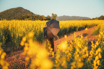 Rear view of woman walking on field against sky during sunset