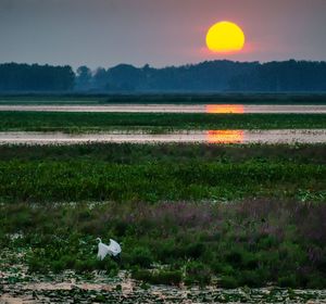 Scenic view of lake against sky during sunset