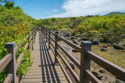 Empty wooden walkway by trees at hallasan national park