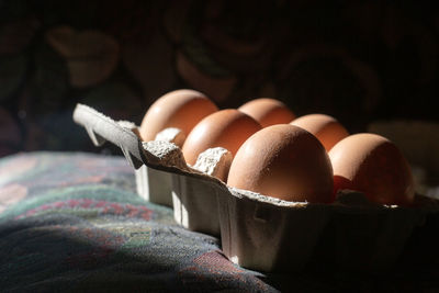 Cropped hand of woman holding egg