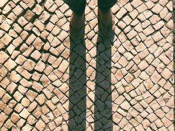 Low section of woman standing on cobbled footpath