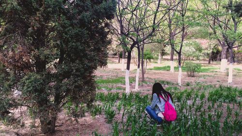 Rear view of woman sitting on field at park