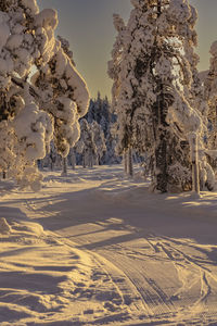 Scenic view of snow covered landscape against sky during sunset