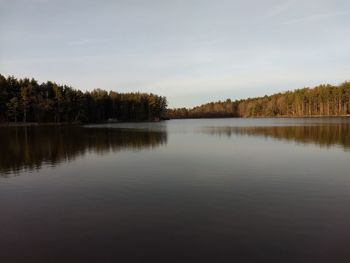Scenic view of lake in forest against sky