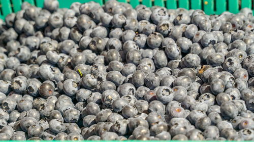 Close-up of blueberries in market