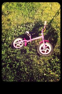 Plants growing on field