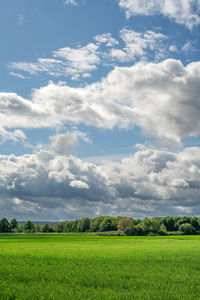 Scenic view of field against sky