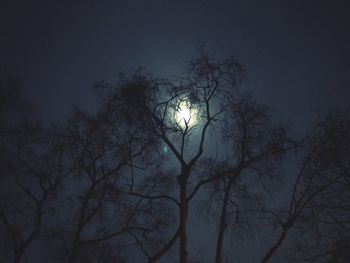 Low angle view of bare tree against moon at night
