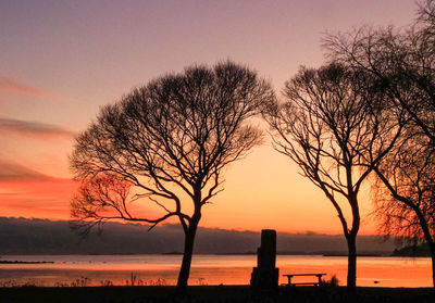 Silhouette bare tree by sea against sky during sunset