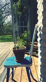 Table and plants in yard