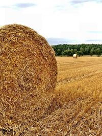 Hay bales on field against sky