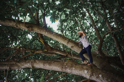 Man standing on tree branch in forest