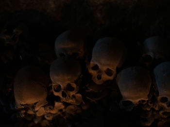 Close-up of human skull in the dark